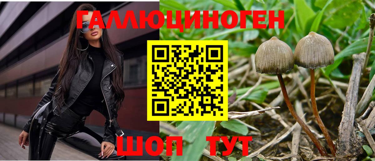 Галлюциногенные грибы ЛСД Урай